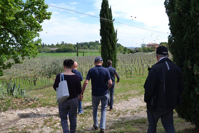 Winery Tour and Tasting of Garda Wines in Lazise - Inclusions and Exclusions