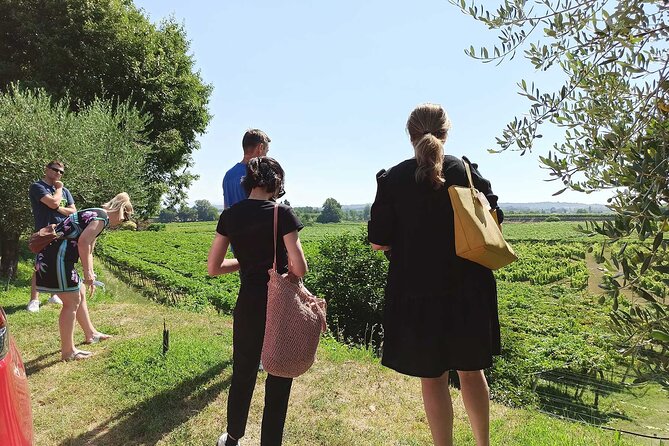 Winery Tour and Tasting of Garda Wines in Lazise - Accessibility and Traveler Information
