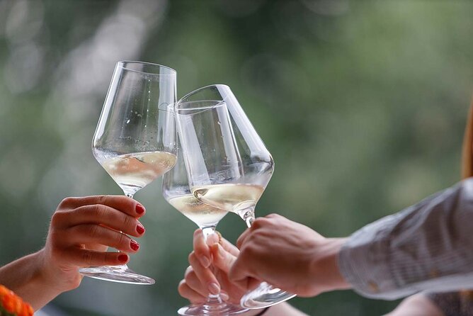 Winery Tour and Tasting of Garda Wines in Lazise - Languages Offered for the Experience