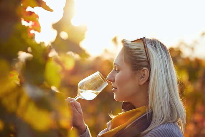 Winery Tour and Tasting With the Sommelier in KRK - Booking Information