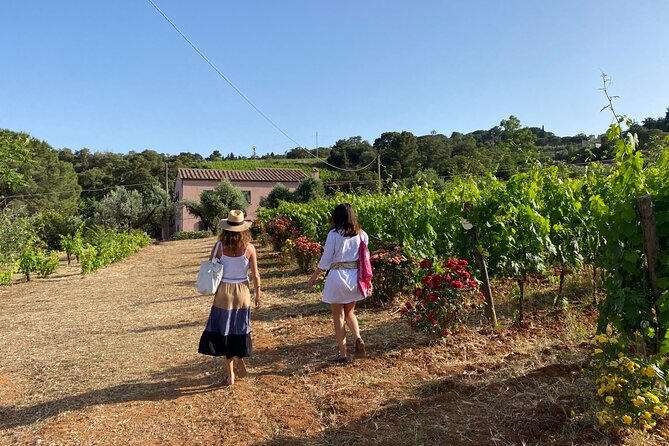 Winery Tour and Tasting With the Winemaker in Elba Island - Good To Know