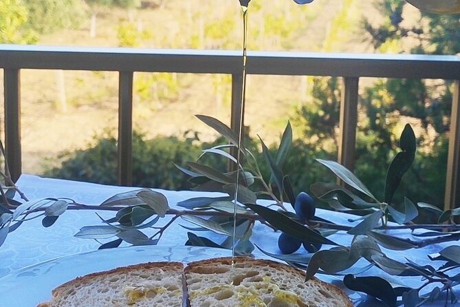 Winery Tour and Wine Tasting in Calabria - Verified Reviews and Ratings Breakdown