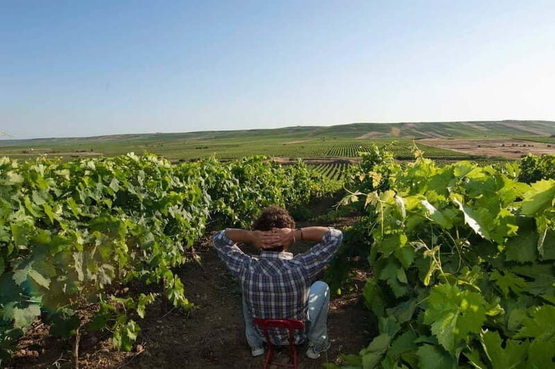 Winery tour in Marsala with wine tasting and local products - FAQs