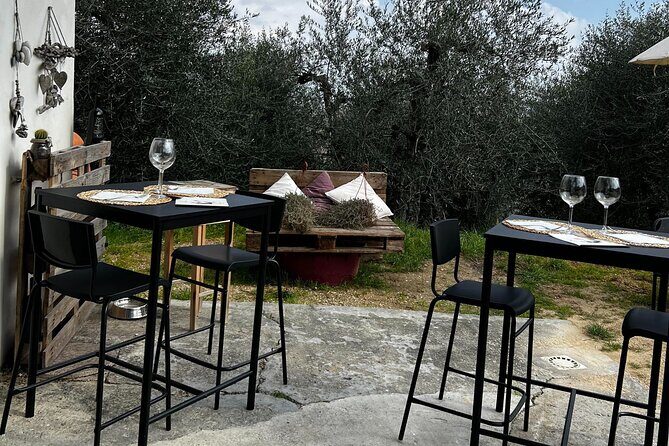 Winery Tour & Tasting in Pisa Countryside - Who Should Consider This Tour?