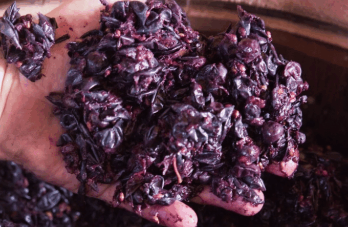 Winery Tour & Tasting on Padova Hills - Duration and Group Size