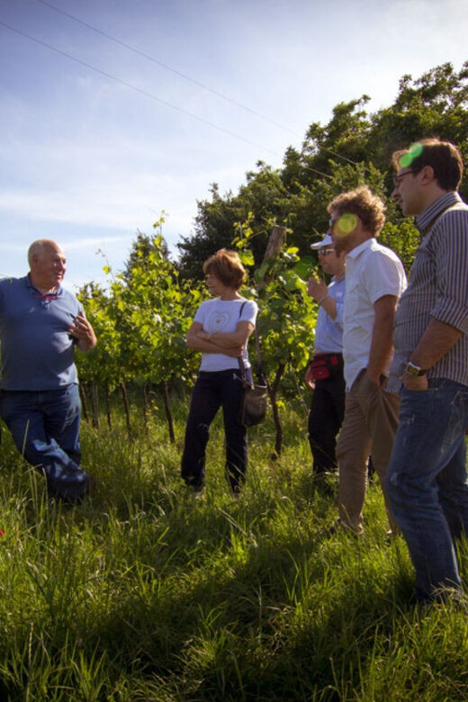 Winery Tour & Tasting on Padua Hills - Key Points