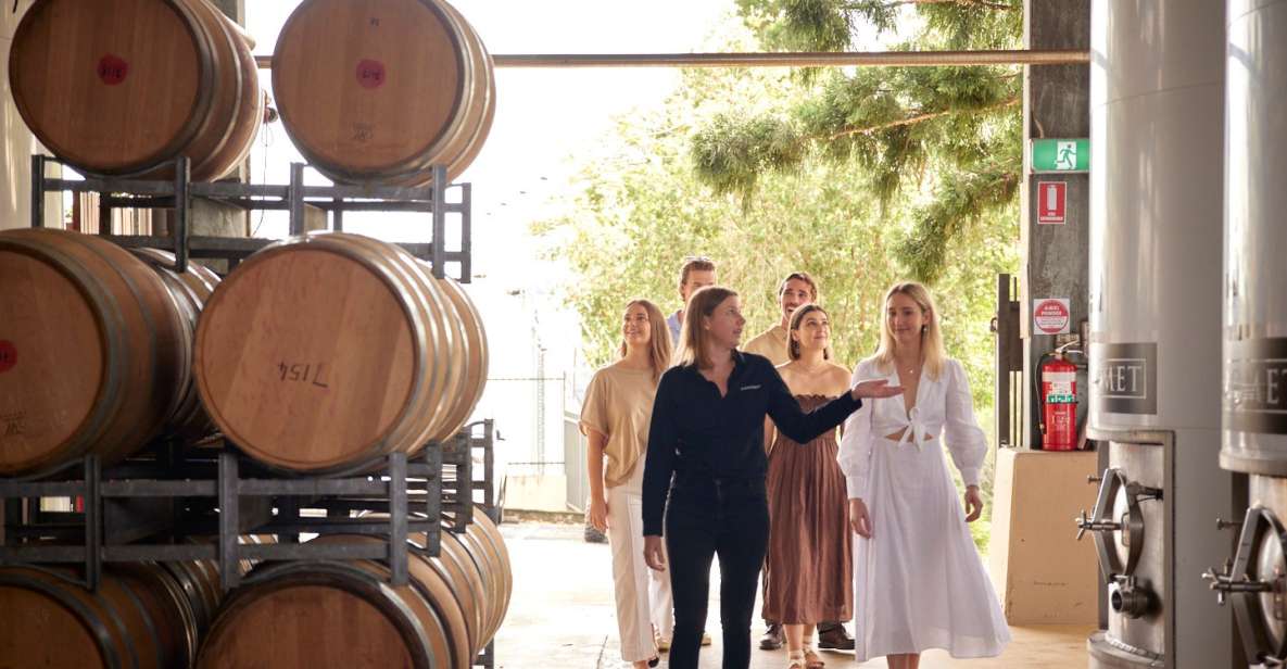 Winery Tour & Tasting With 3-Course Lunch on Tuscan Terrace - Language and Inclusions