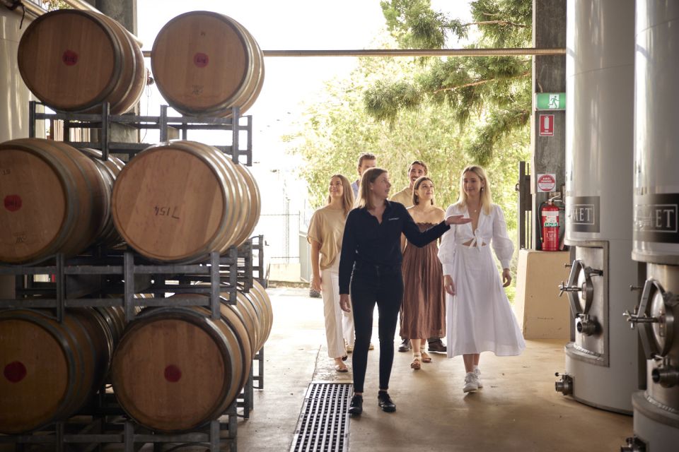 Winery Tour & Tasting With 3-Course Lunch on Tuscan Terrace - Booking Information and Itinerary