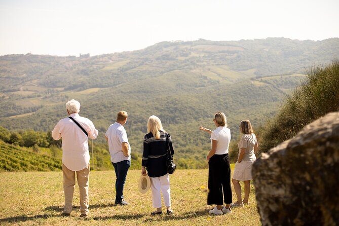Winery tour & wine tasting in Montalcino - Who Is This Tour Best For?