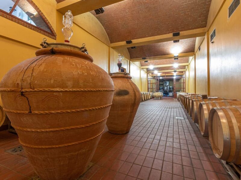 Winery Tour & Wine Tasting with Food near Livorno & Pisa - Analyzing the Value