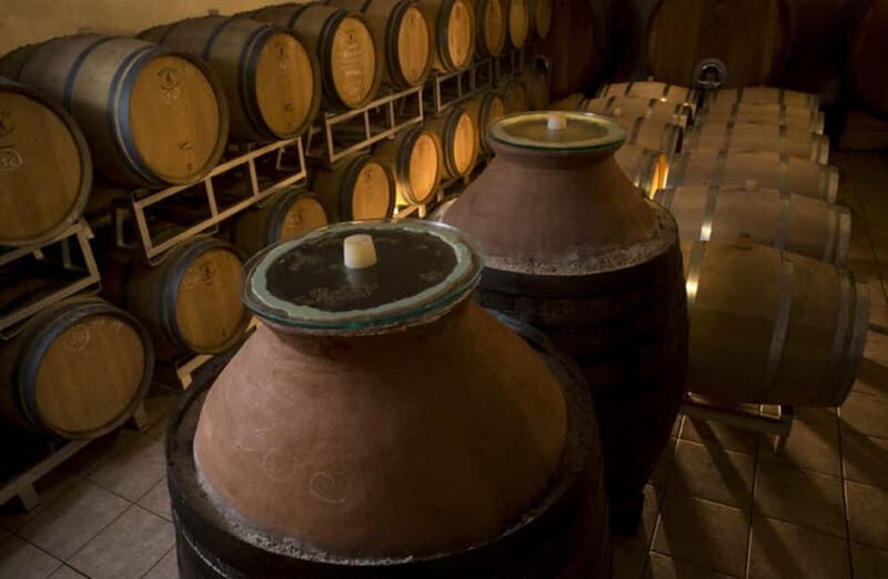Winery Tour with Wine & Food Tasting near Riccione & Rimini - Who Will Enjoy This?