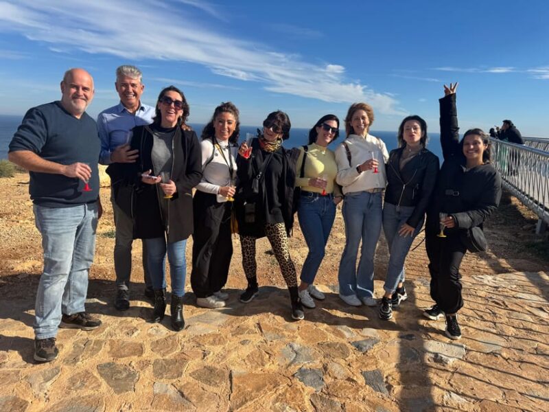 Winery Visit and Tasting in Elche With Wines and Tapas From Alicante in Van - Transportation and Logistics