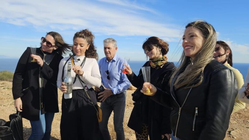 Winery Visit and Tasting in Elche With Wines and Tapas From Alicante in Van - The Guided Tour Experience