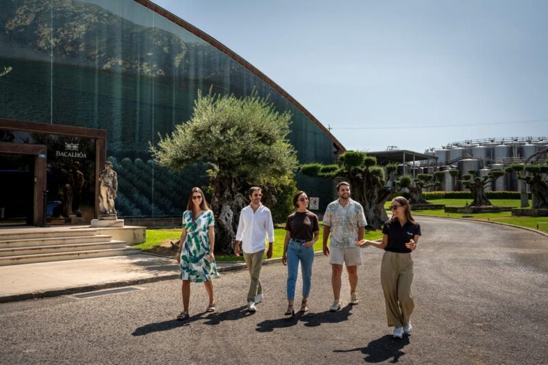 Winery Visit & Fish Market Tour with Tasting from Lisbon - Final Thoughts