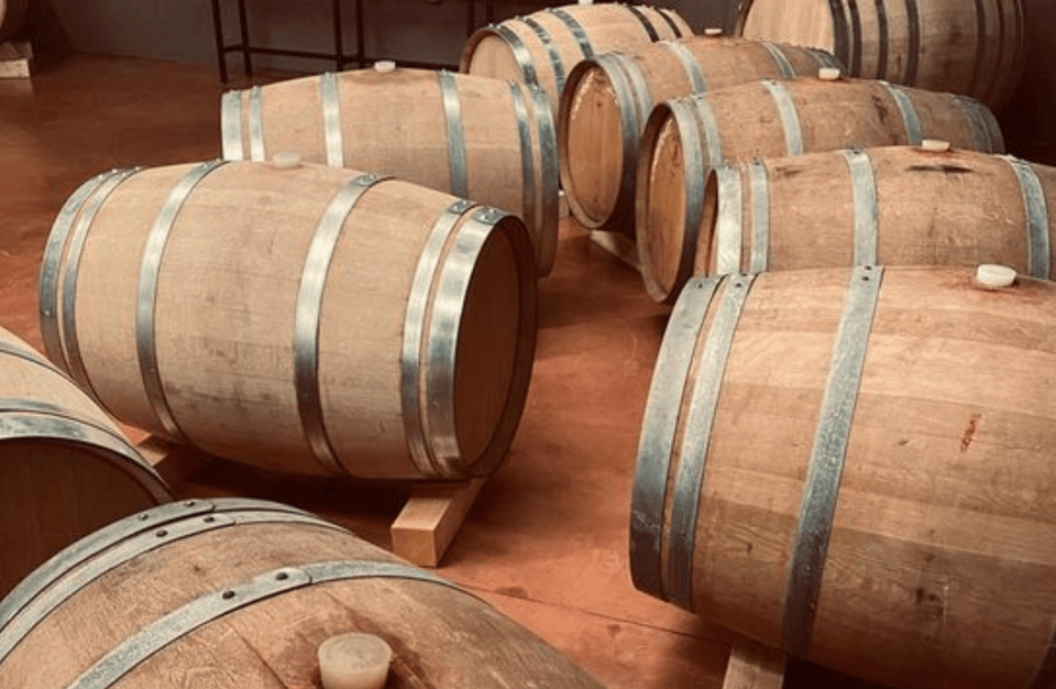Winery Visit on Parma Hills & Wine Tasting With Food Platter - Food Pairings
