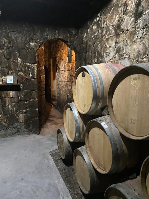 Winery Winery Olive Oil Tasting Traditional lunch - FAQs