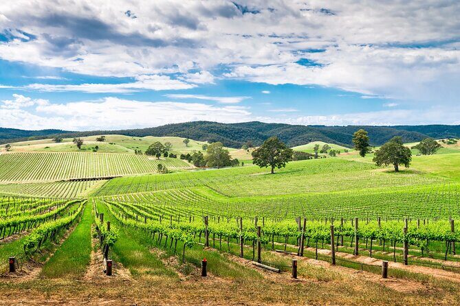 Wines and Whispers:Barossa Valley Private Wine Tour from Adelaide - The Experience in Context