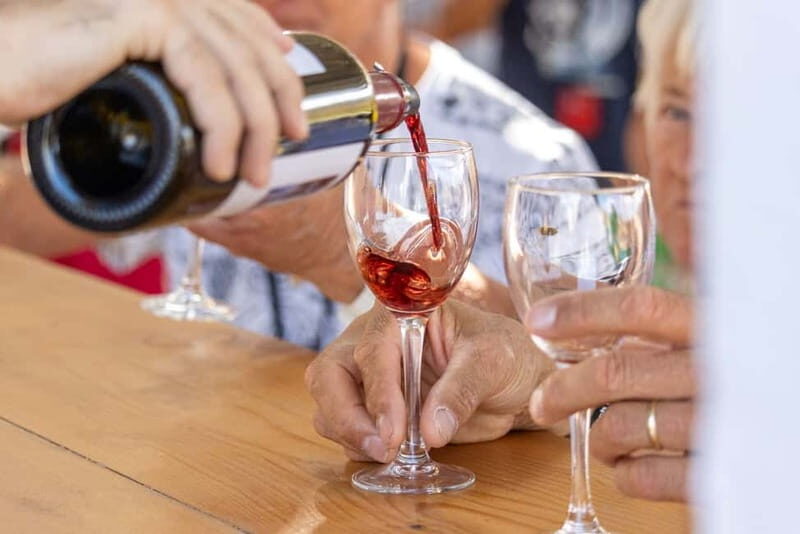 Wines of Rhodes: Traditional Wine Tasting in the vineyards - Key Points