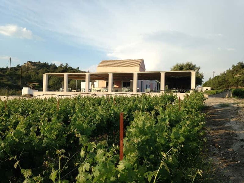 Wines of Rhodes: Traditional Wine Tasting in the vineyards - FAQ