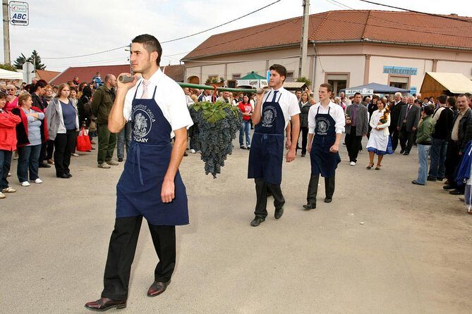 Winetaste in Villany, and visiting Pécs, on a private tour - What Our Reviewers Say