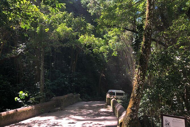 Wingfield Rainforest Hike St Kitts and Romney Manor Adventure - Starting Point and Transportation