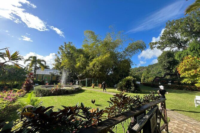 Wingfield Rainforest Hike St Kitts and Romney Manor Adventure - Wildlife and Nature Highlights