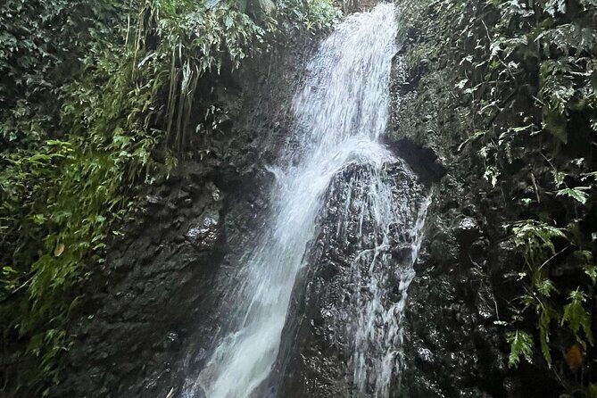 Wingfield Rainforest Hike St Kitts and Romney Manor Adventure - Cultural and Historic Stops: Romney Manor and Wingfield Estate