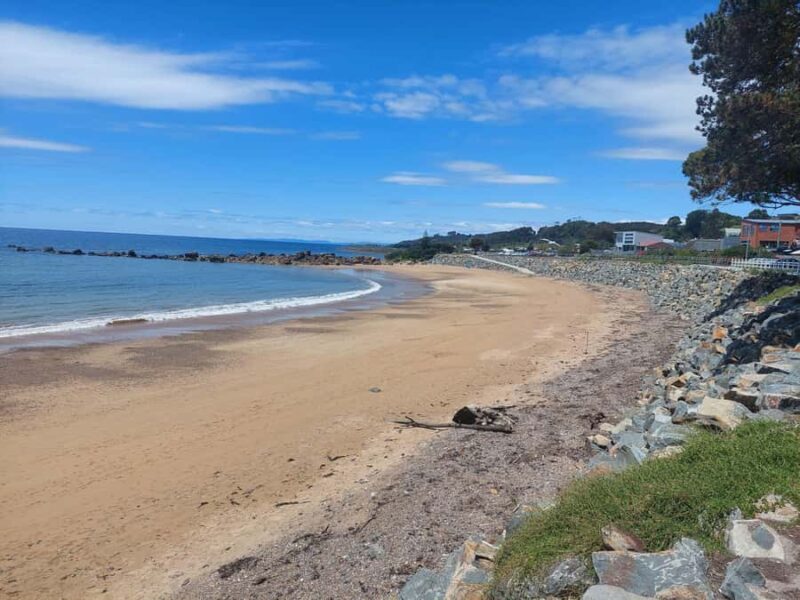 Wings Wildlife Park Burnie Shore Excursion - Practical Tips for Visitors