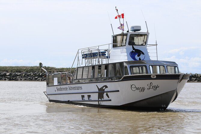 Winter Eco Tours on the Salish Sea Wildlife Adventures - Exploring the Salish Sea: A Practical Review of Winter Eco Tours on the Crazy Legs