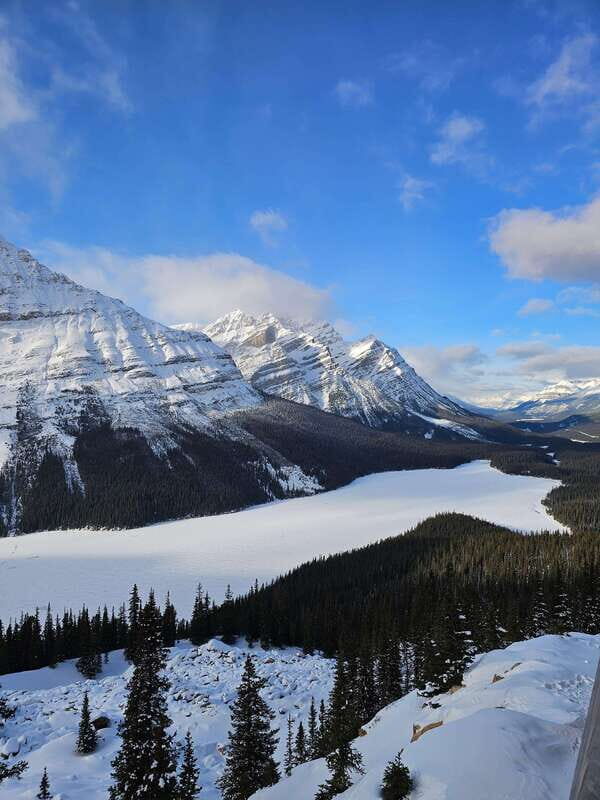 Winter: Full Day Private Tour Banff Icefield Parkway Trip - Wildlife & Cultural Insights
