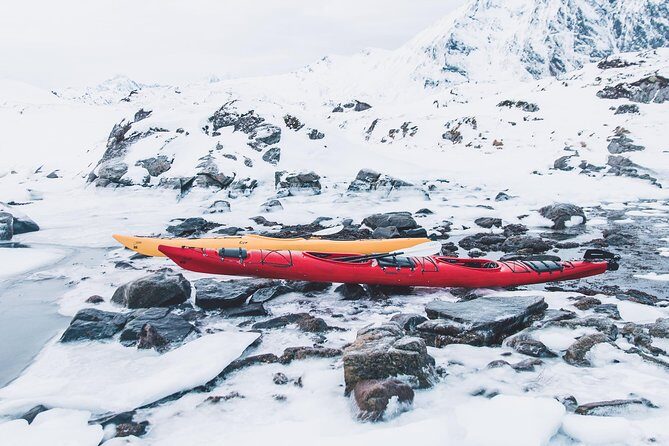 Winter Half Day Kayak Tour - The Value of the Experience