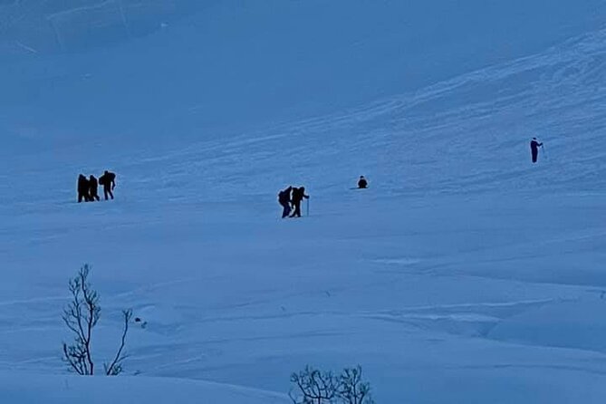 Winter Hiking Set for Snowshoes and Trek Poles - Overview of the Winter Hiking Set