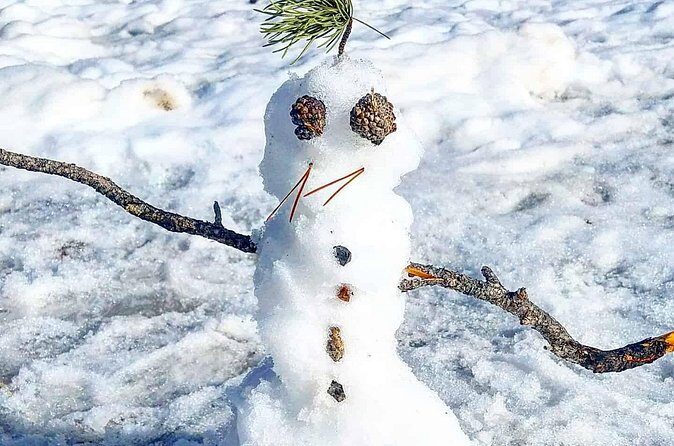 Winter on the Rocks with S'mores (Wildside 4x4 Tours) - An Exciting and Authentic Winter Forest Experience