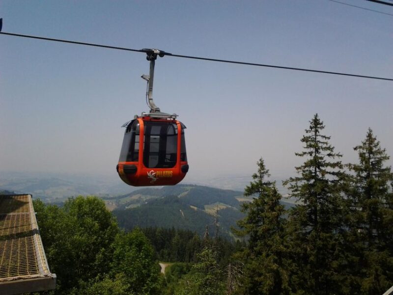 Winter Panorama Mount Pilatus: Small Group Tour From Luzern - Highlights