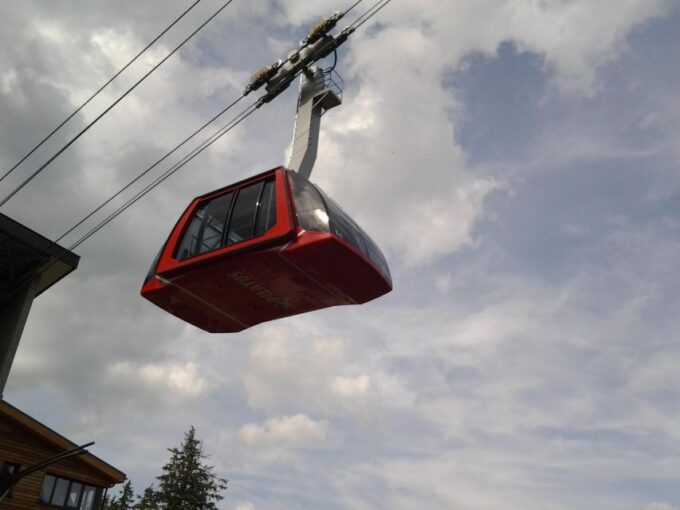Winter Panorama Mount Pilatus: Small Group Tour From Luzern - Customer Feedback