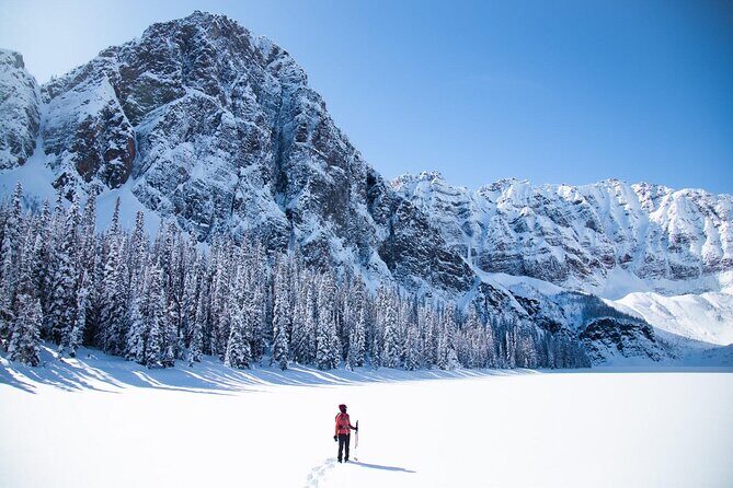 Winter Private Full Day Banff and Icefields Parkway Tour - An In-Depth Look at the Tour