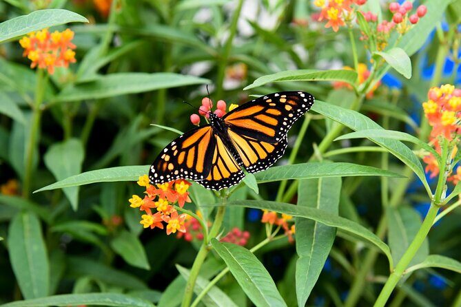 Winter Wonder Tour - How the Tour Comes Together