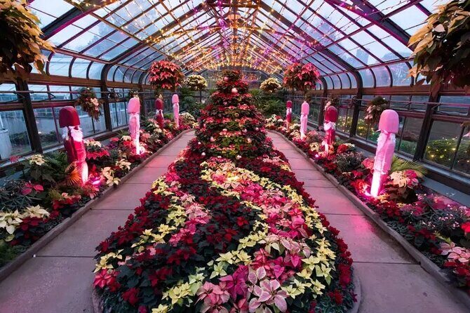 Winter Wonder Tour - FAQ