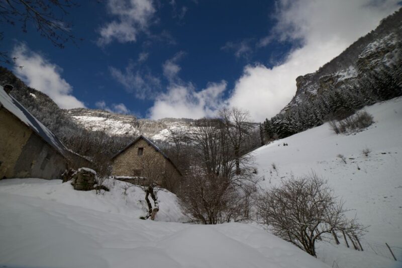 Winter Wonderland Expedition, Snowshoe Journey Into the Wild - Key Points
