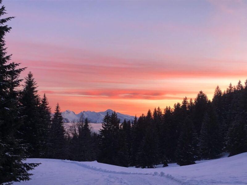 Winter Wonderland Expedition, Snowshoe Journey Into the Wild - Highlights of the Snowshoe Journey