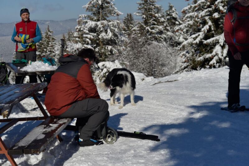 Winter Wonderland Expedition, Snowshoe Journey Into the Wild - Whats Included in the Experience