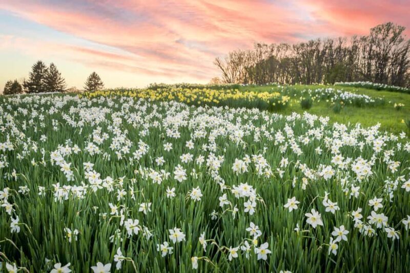 Winterthur Museum & Garden Entry Ticket - The Sum Up