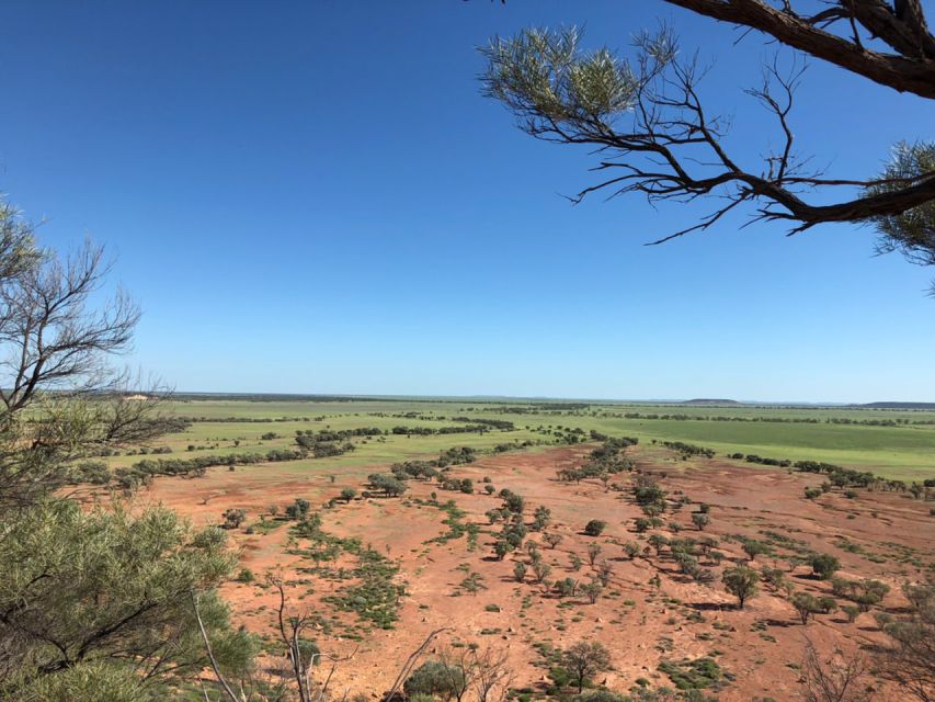 Winton: Bladensburg National Park Half Day Tour - Inclusions