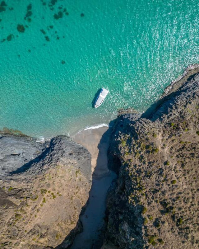 Wirrina Cove: Coastal Sightseeing Boat Tour with Seal Colony - Key Points