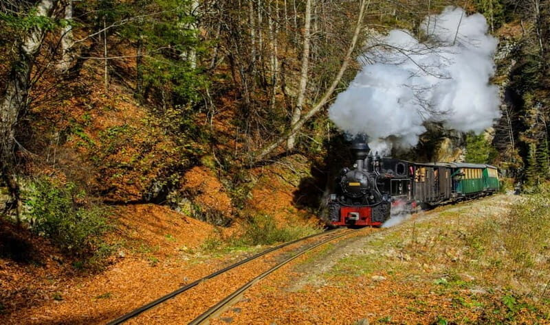 With the steam train through Transylvania- 8 Day - A Detailed Look at the Tour