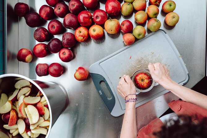 Wittenburg: Elephant Gins Distillery Tour Near Hamburg - Tour Highlights and Inclusions