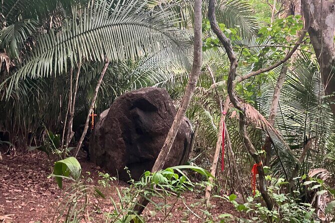 Wixárika Sacred Ritual: Purify your spirit in nature - Real Traveler Feedback and Authentic Insights