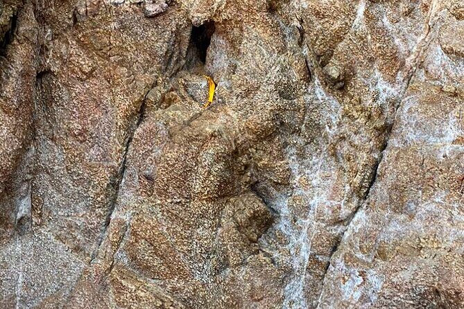 Wixárika Sacred Ritual: Purify your spirit in nature - FAQ