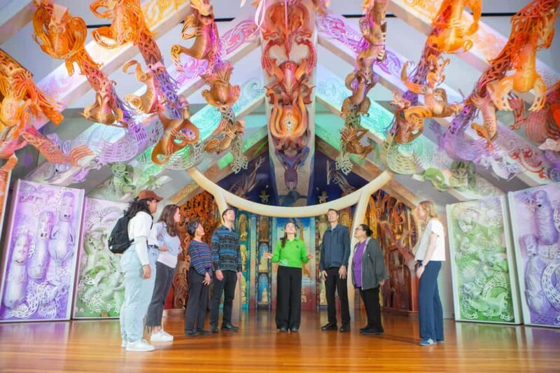 WLG: Museum of NZ Mori Highlights Tour & General Admission - Introduction: What’s on Offer