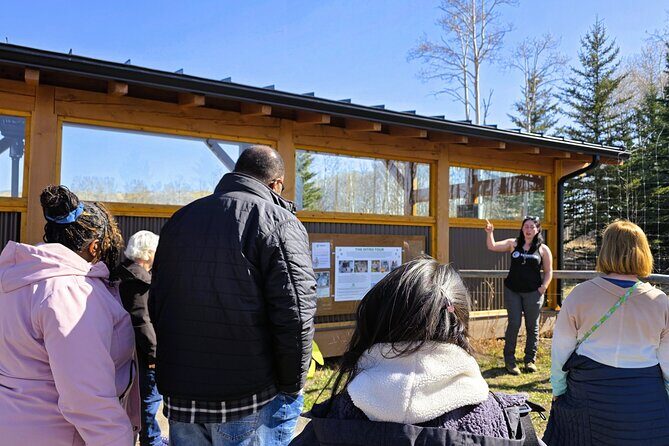 Wolfdog Sanctuary and Banff Day Trip - FAQ